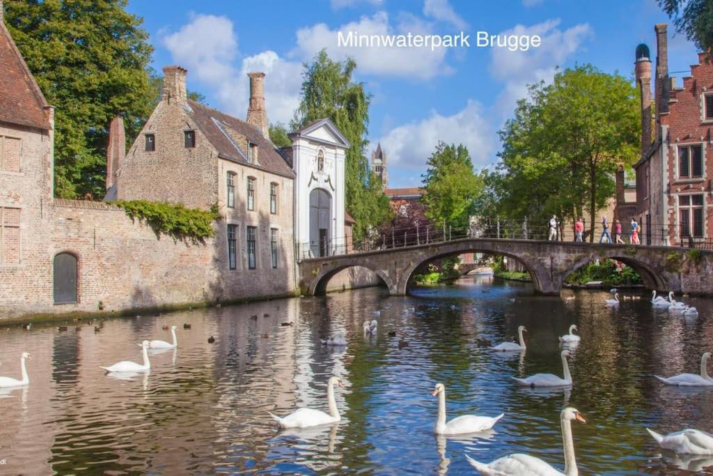 Cozb Appartement Brugge Buitenkant foto